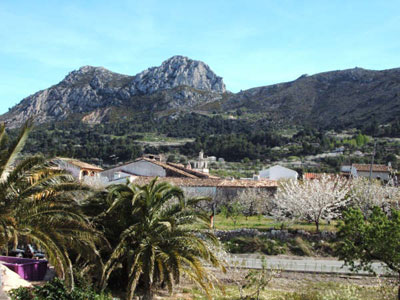 Fleix